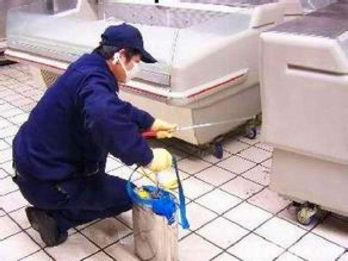 除蟲滅鼠